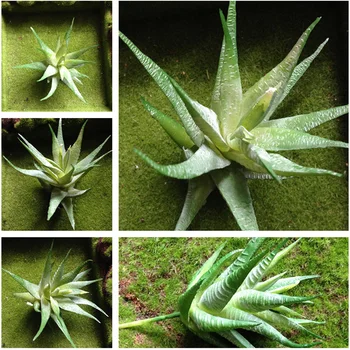 NuoNuoWell Umelej Tráve Mini Pás Aloe Plastové Succulents Rastliny (Sada 3)