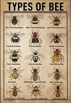 Laquaud Honey Bee Vedomosti, Bee Typ Vedomosti Bee Milenca, Honey Bee Milenca Tin Znamení Kovu Znamení Kovu Prihlásiť Tin Prihlásiť Wall Art