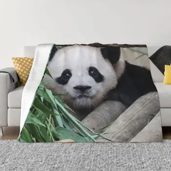 Fubao Fu Panda Bao Zvierat Deka Ľahký Priedušný celoročné Pohodlie Hodiť Deky pre náročné dlhodobé Izba Dekor