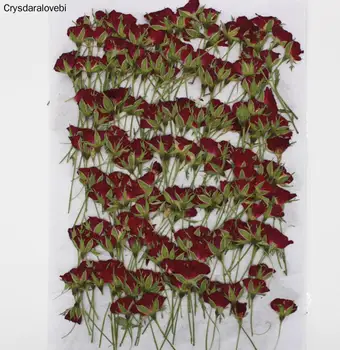 120pcs Stlačené Sušené Ruže Kvet Rastliny Herbarium Pre Živicové Šperky Čo Pohľadnicu Rám Telefónu Prípade Plavidlá typu 
