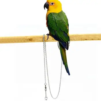 Ks Papagája Nohe Krúžok Členok Nohy Reťazca Vták Krúžok Vonkajšie Lietanie Vzdelávacia Aktivita Pre Otvorenie Stánok Príslušenstvo Vták Dodávky